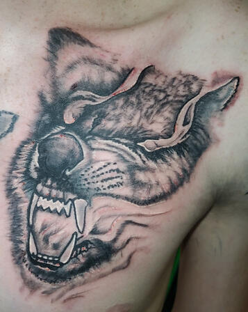 Animal Animal
